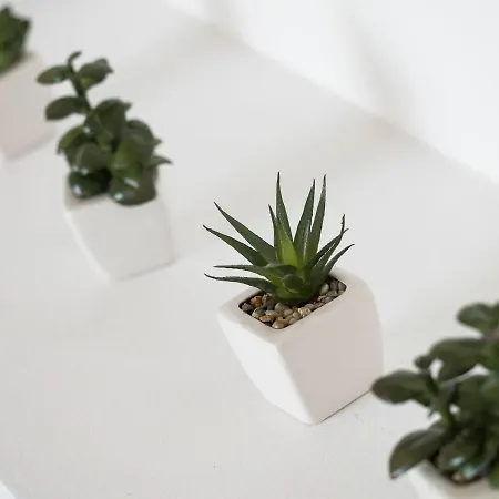 Croatica Podsolarsko * שיבניק