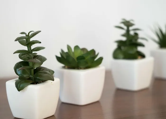 Croatica Podsolarsko *