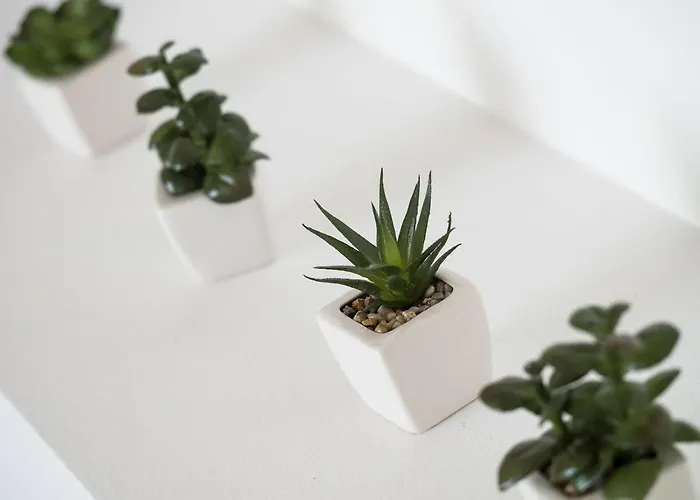 Croatica Podsolarsko * 希贝尼克